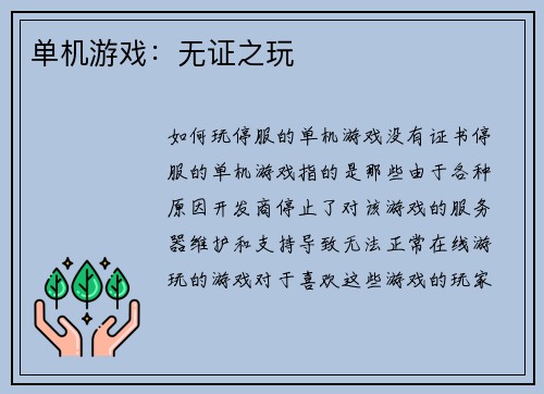 单机游戏：无证之玩